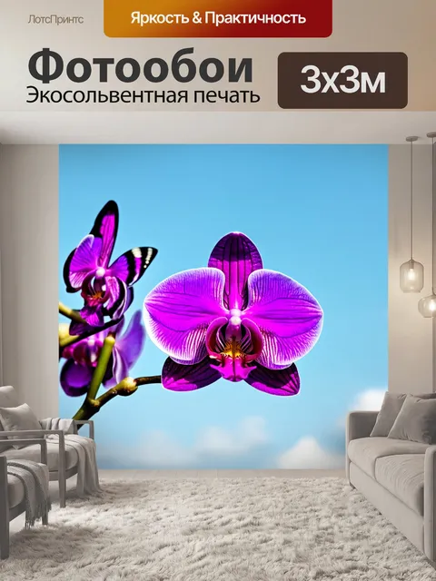 Фотообои орхидея с формами, напоминающими бабочек, на фоне яркого неба