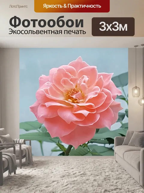 Фотообои Одна связка