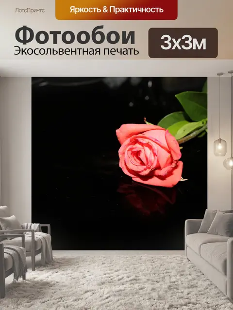 Фотообои одной-единственной розе