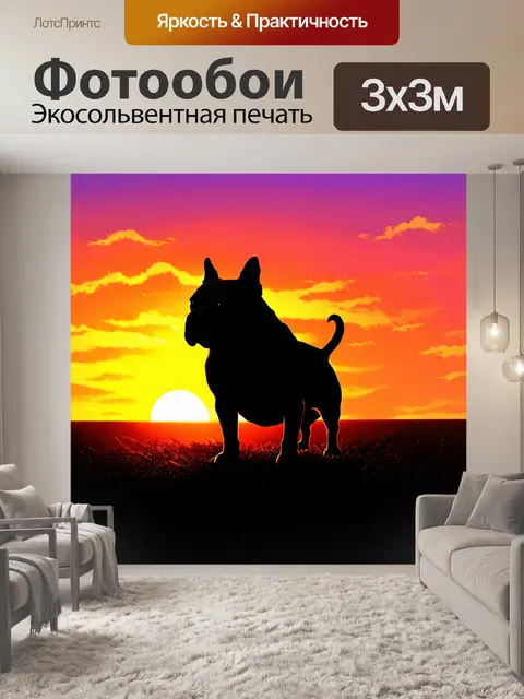 Фотообои силуэт бульдога на фоне заката, когда солнце погружается в горизонт, раскрашивая небо яркими цветами