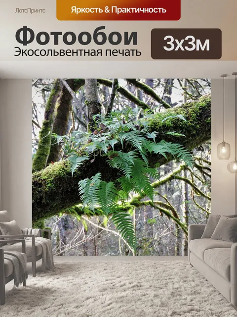 Фотообои Лес