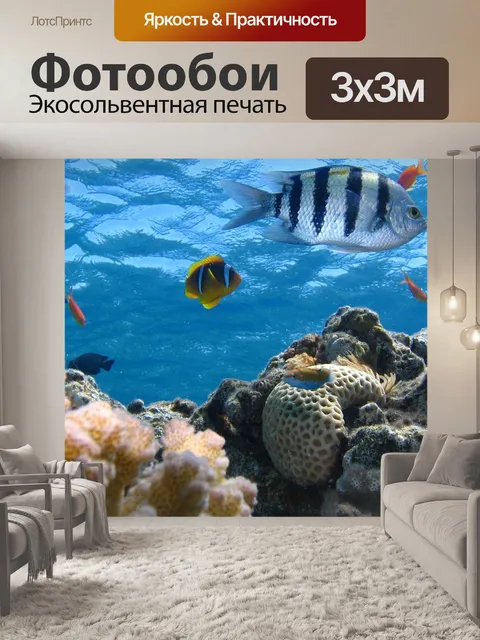 Фотообои Рыбы