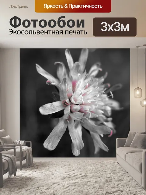 Фотообои Макрос