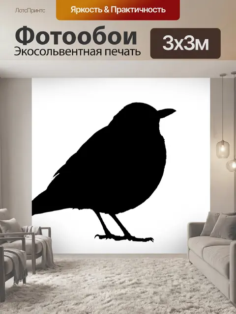 Фотообои Силуэт Blackbird