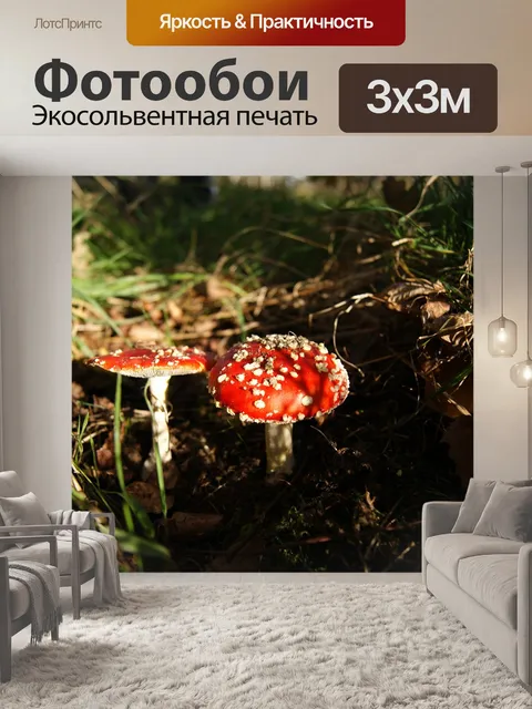 Фотообои Осень