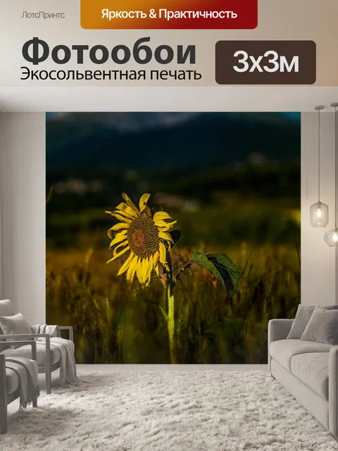 Фотообои Подсолнухи