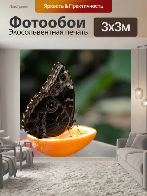 Фотообои Бабочки 06