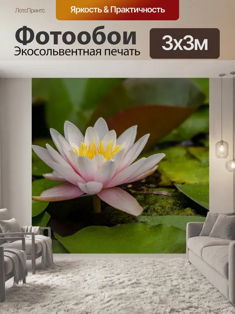 Фотообои Цветок