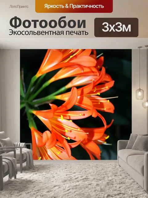 Фотообои Кливия цветы