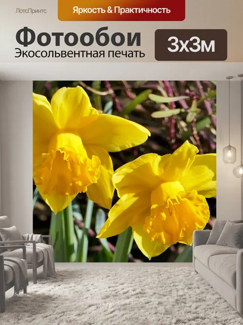 Фотообои Природа