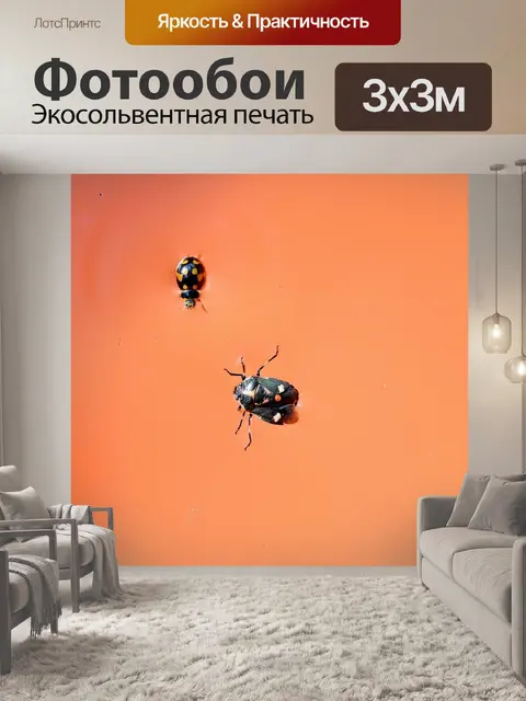 Фотообои Леди ошибка