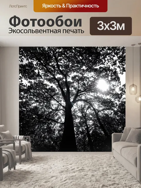 Фотообои природа в стиле рисунок углём, где сияющее солнце проникает сквозь листву деревьев