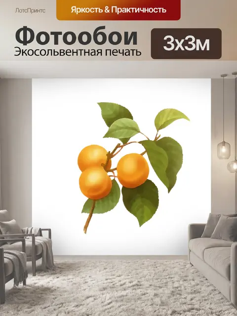 Фотообои Абрикосы Иллюстрация