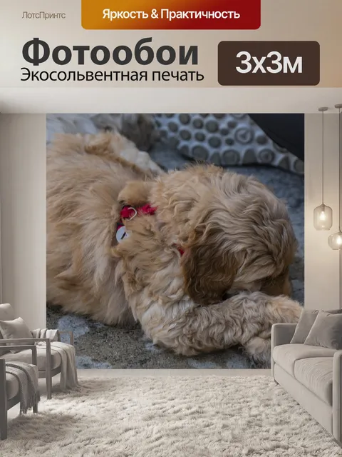 Фотообои Щенки Crisscross Paws