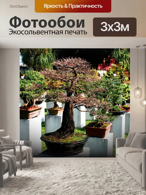 Фотообои Бонсай