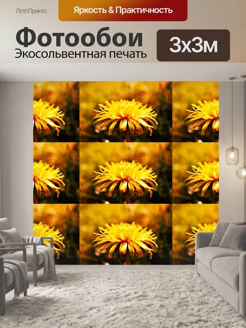 Фотообои Одуванчики