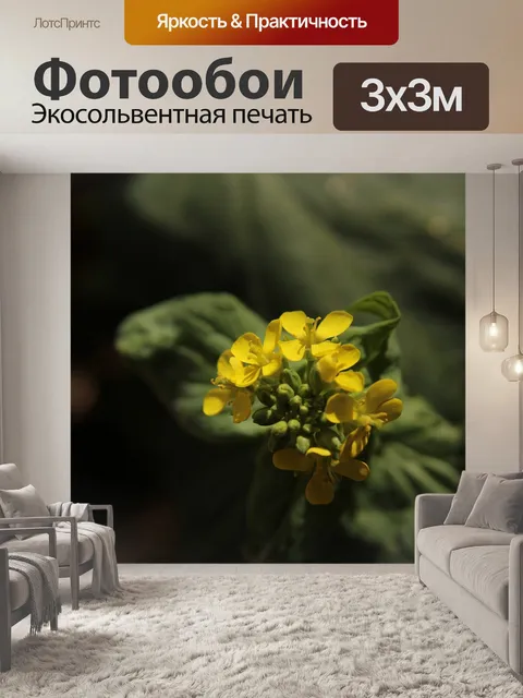 Фотообои Цветущий