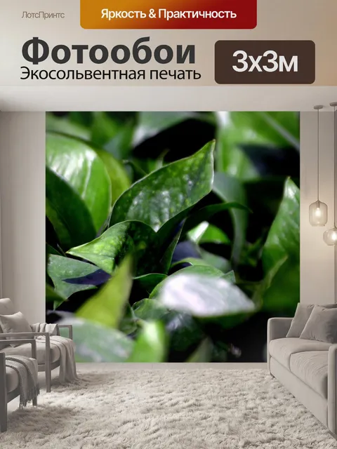 Фотообои Зелень растений