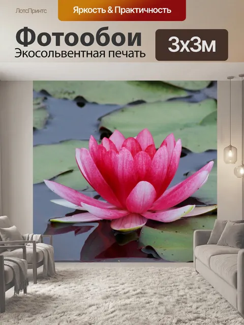 Фотообои Лотос