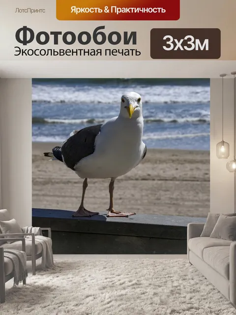 Фотообои чайка