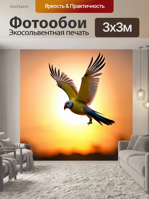 Фотообои яркий попугай корелла в полете на фоне заката