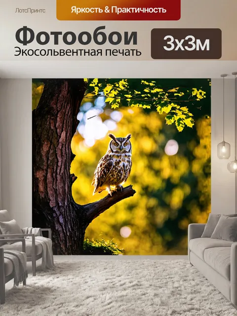Фотообои птица: сова, сидящая на ветке старого дерева, окруженная мягким солнечным светом, пробивающимся сквозь листву