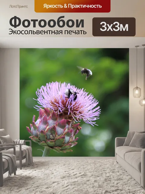 Фотообои Лекарственное растение