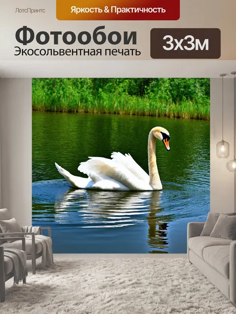 Фотообои озеро, по которому плавает белый лебедь, в окружении зелени