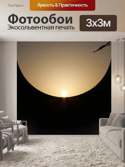 Фотообои Силует