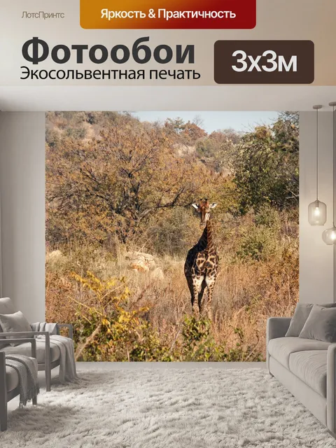 Фотообои одинокий жираф африканский куст