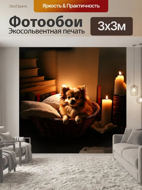 Фотообои карликовый шпиц, уютно устроившийся в корзине с мягкими подушками, окруженный книгами и свечами