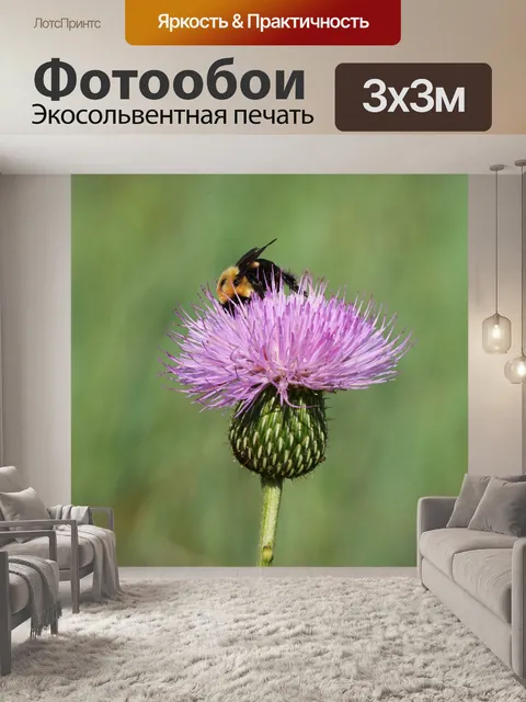Фотообои Bumble Bee на Tall Thistle