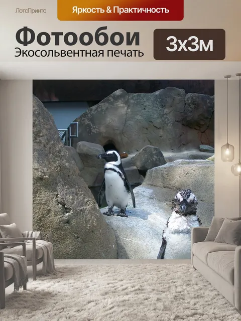 Фотообои Птичий