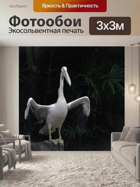 Фотообои белый пеликан с поднятыми крыльями