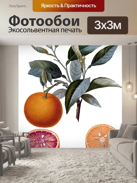Фотообои Апельсины Фрукты Винтаж Искусство