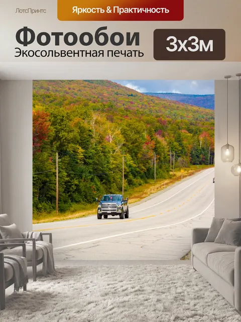Фотообои Дорожные и осенние деревья