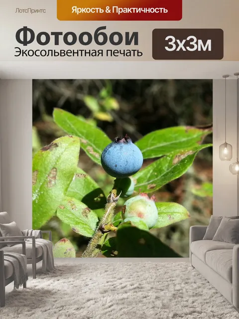 Фотообои Дикая черника