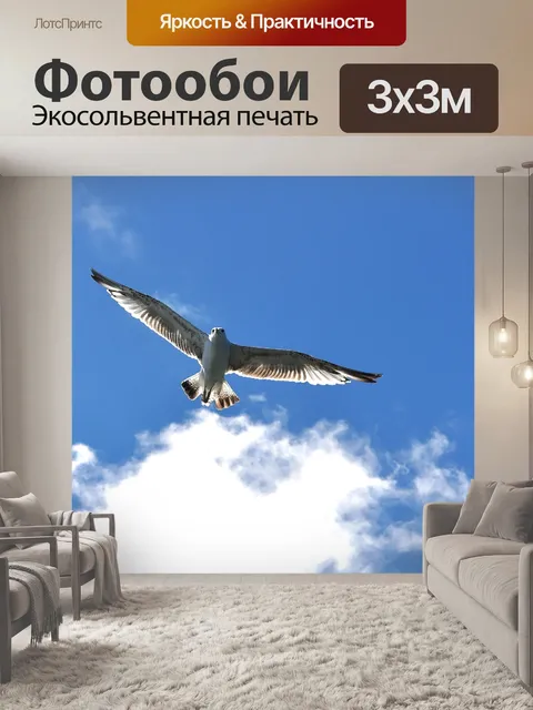 Фотообои Серебристая чайка