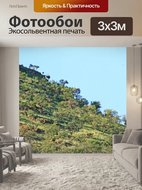 Фотообои Дерево, камни и растительность на холме