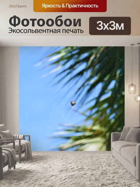 Фотообои Spinybacked зафиксировать положение упора