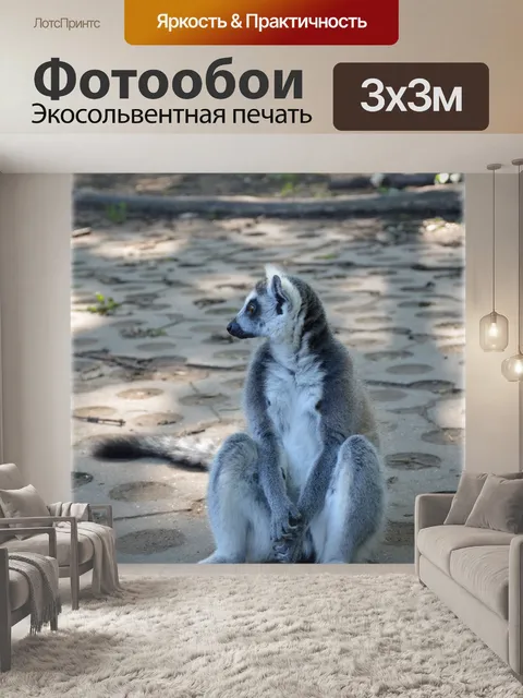 Фотообои Кошачий лемур 12