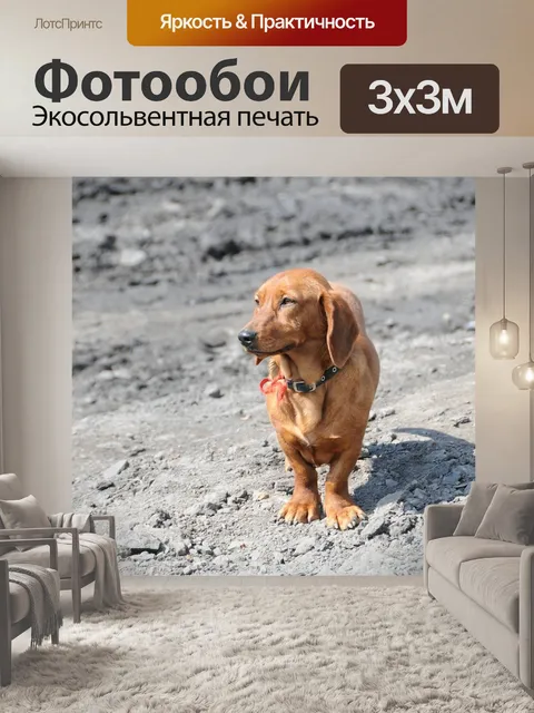 Фотообои Милый