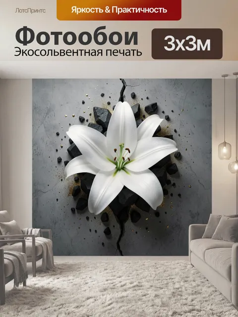 Фотообои Белый цветок среди камней
