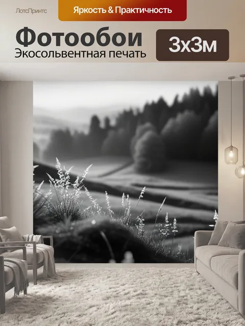Фотообои пейзаж с ранним утром чернобелый