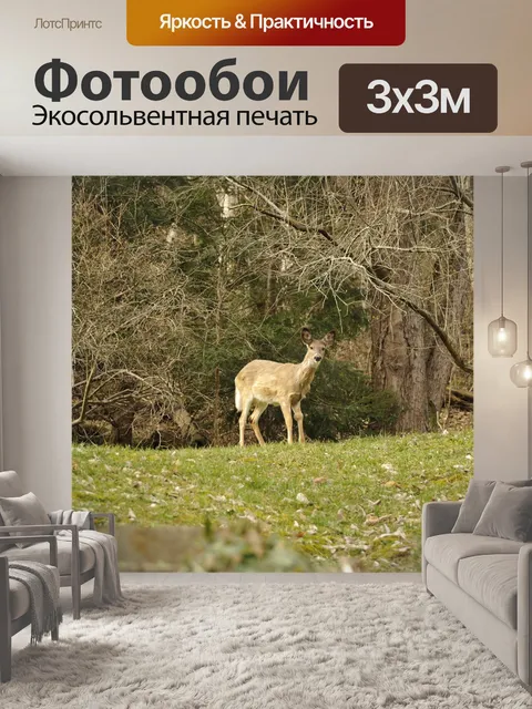 Фотообои Олень