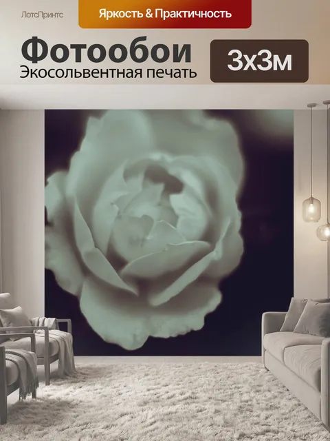 Фотообои Белая роза