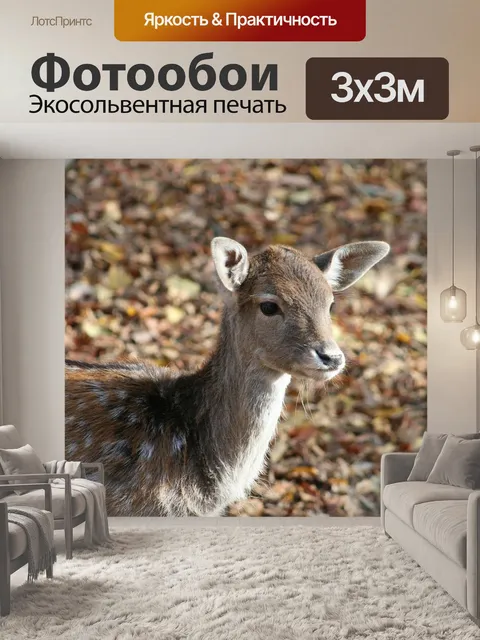 Фотообои Природа
