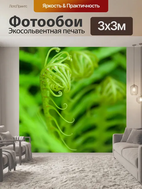 Фотообои зеленый папоротник