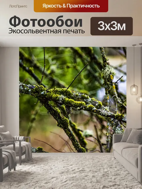Фотообои Ветвь дерева с лишайниками