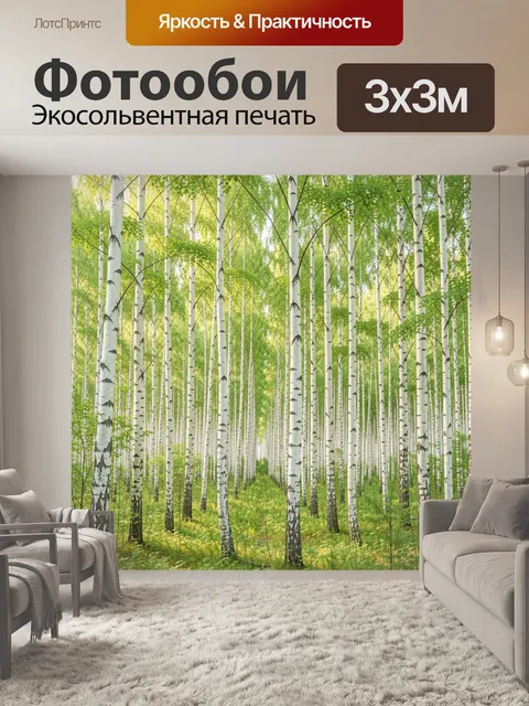 Фотообои Березовый лес в солнечном свете